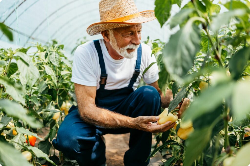 travailleur non salarié agricole