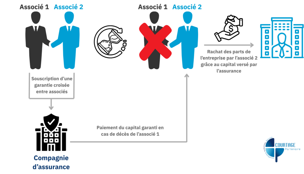 Schéma garantie croisée entre associés