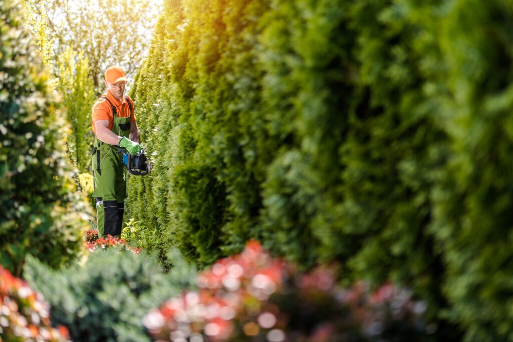 réduire ses impôts grâce à l'emploi d'un(e) aide à domicile