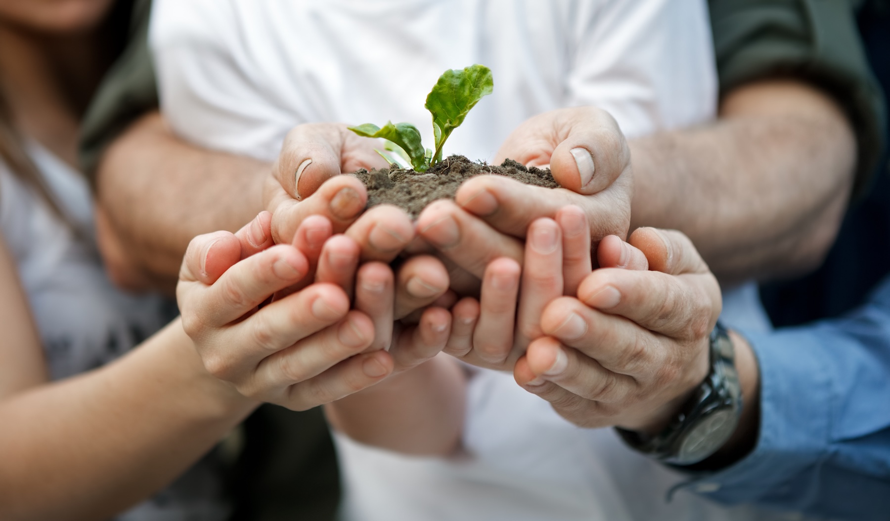 assurance vie : faire pousser son patrimoine